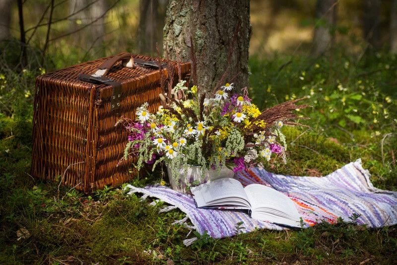 piknik na łonie natury